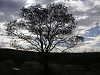 s_A_PICT0354_thumb.png